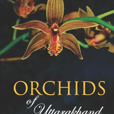 Orchids of Uttarakhand: A Field Guide