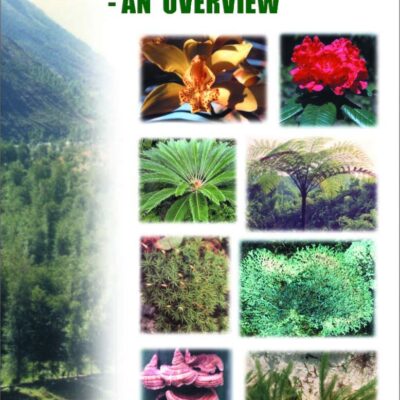 Plant Diversity And Conservation In India An Overview