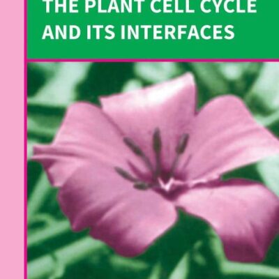 Plant Cell Cycle And Its Interfaces
