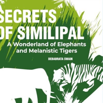 Secrets of Similipal: A Wonderland of Elephants and Melanistic Tigers
