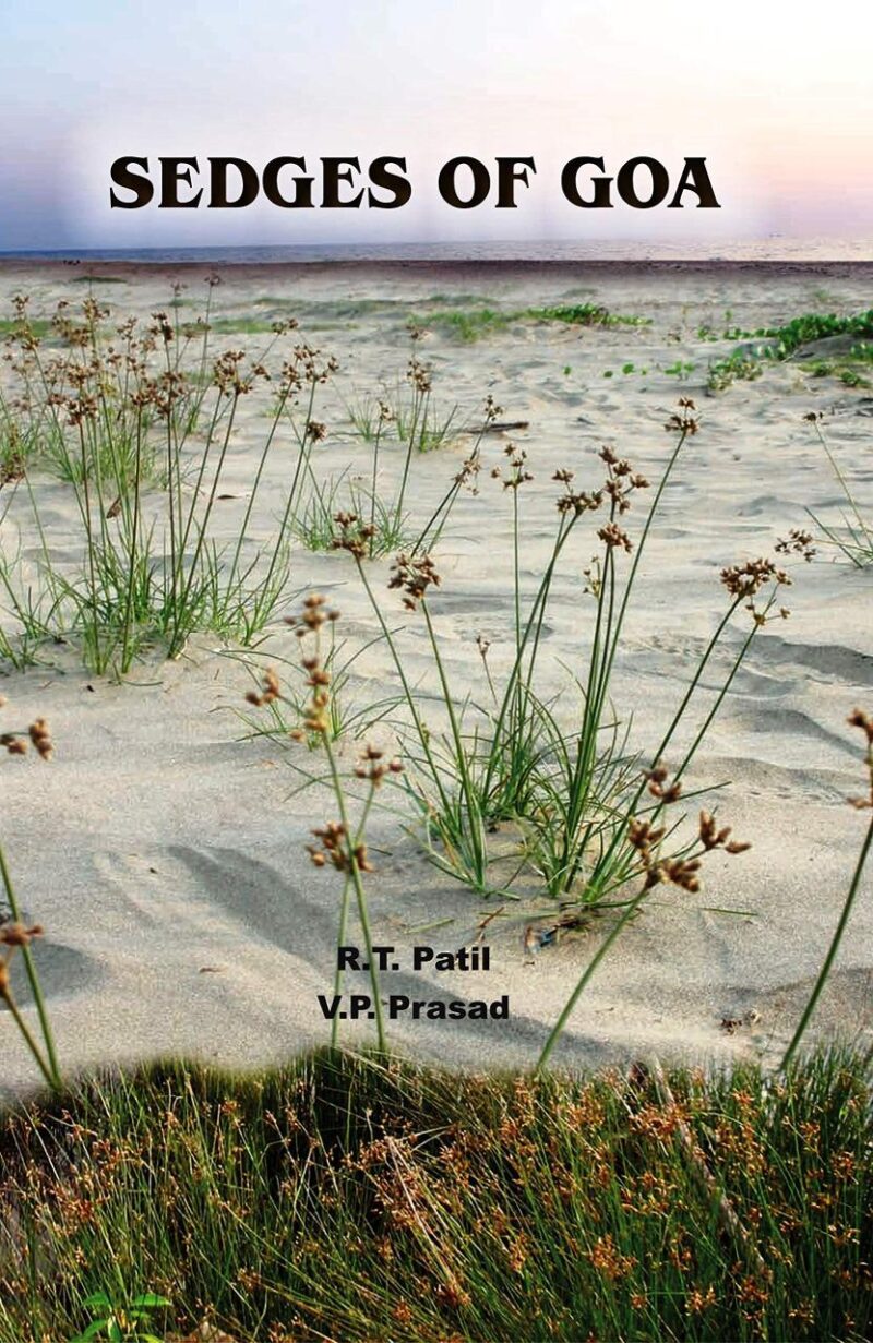 Sedges of Goa