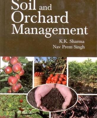Soil and Orchard Management