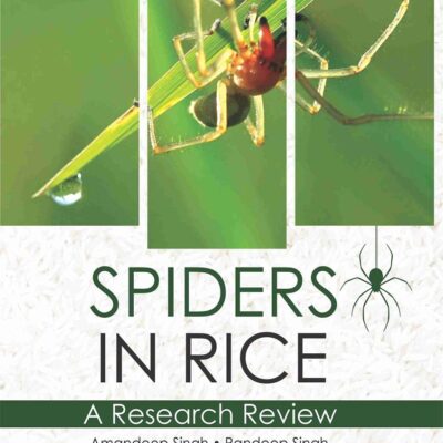 Spiders in Rice: A Research Review (9789388173179)