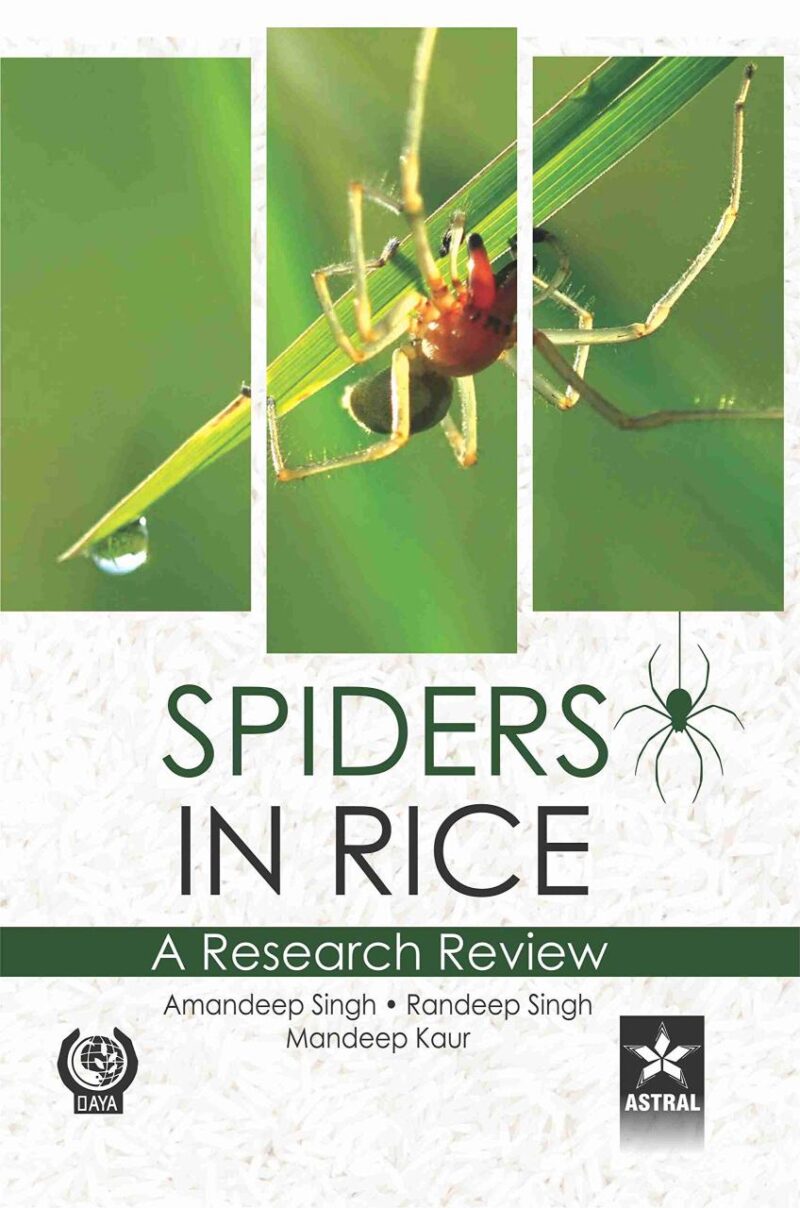 Spiders in Rice: A Research Review (9789388173179)