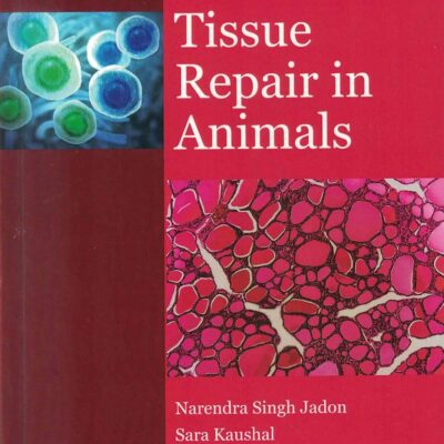 Tissue Repair in Animals