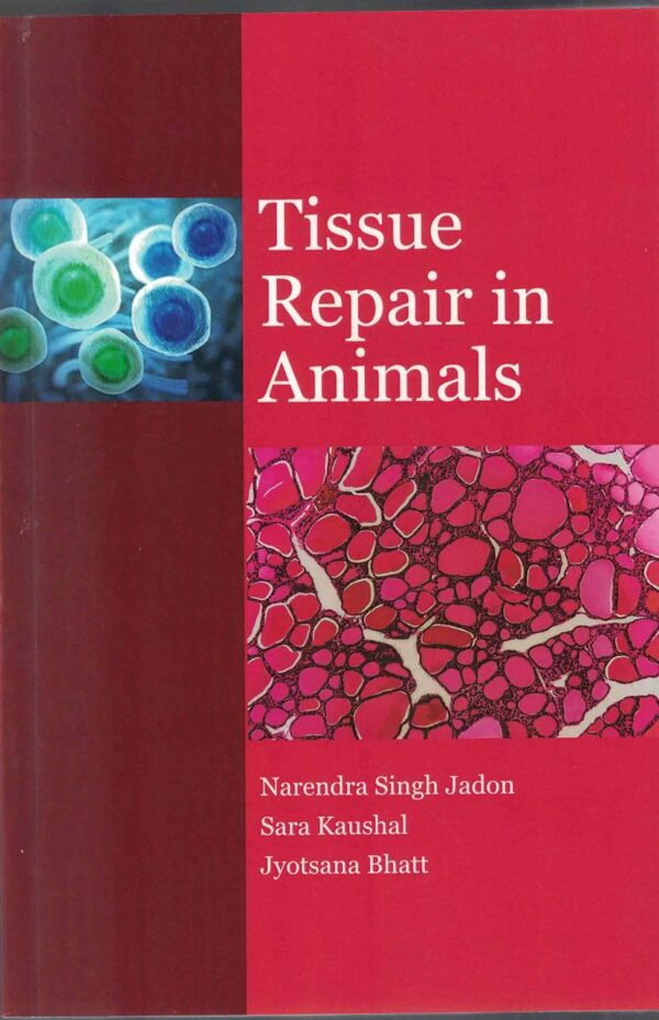 Tissue Repair in Animals