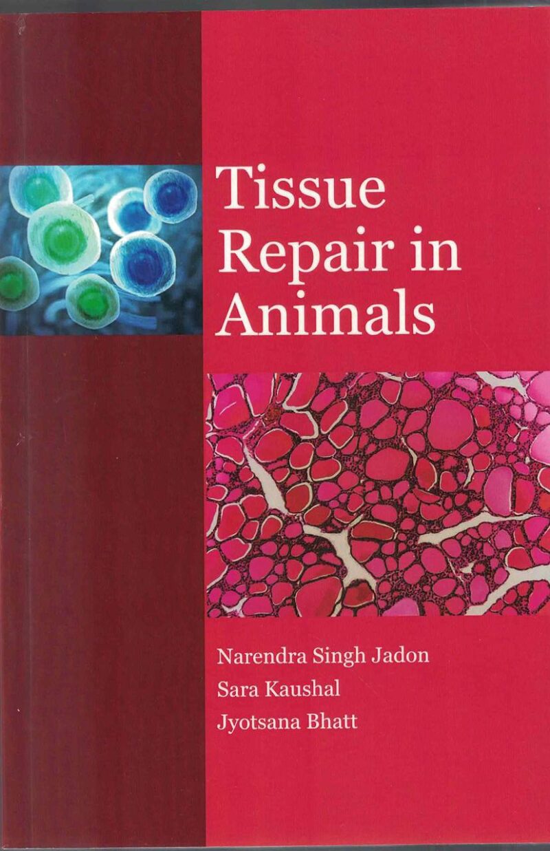 Tissue Repair in Animals