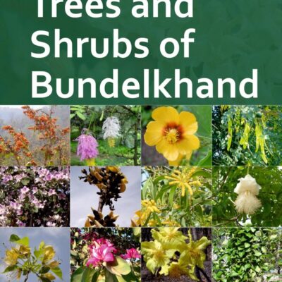 Trees and Shrubs of Bundelkhand