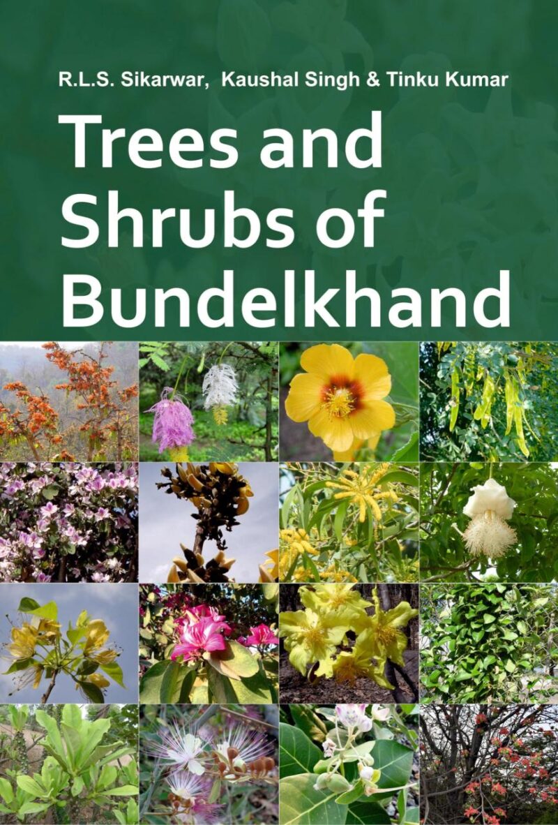 Trees and Shrubs of Bundelkhand