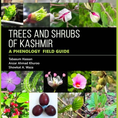 Trees and Shrubs of Kashmir: A Phenology Field Guide