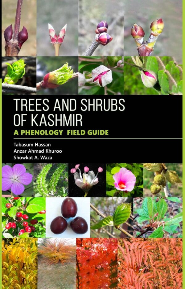 Trees and Shrubs of Kashmir: A Phenology Field Guide
