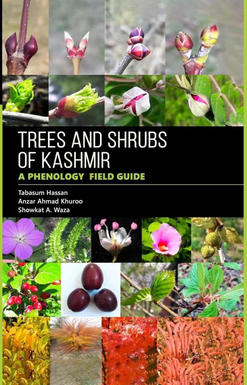 Trees and Shrubs of Kashmir: A Phenology Field Guide