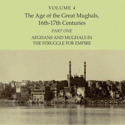 Al-Hind: The Making of the Indo-Islamic World (Vol. 4)