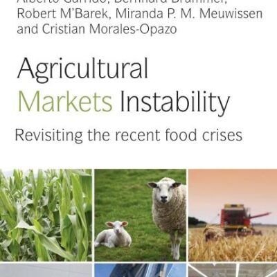 Agricultural Markets Instability: Revisiting the Recent Food Crises (Earthscan Food and Agriculture)