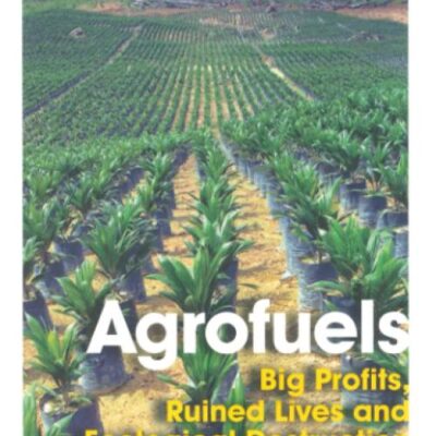 Agrofuels: Big Profits