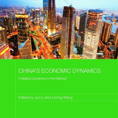 China's Economic Dynamics: A Beijing Consensus in the making? (Routledge Studies on the Chinese Economy)