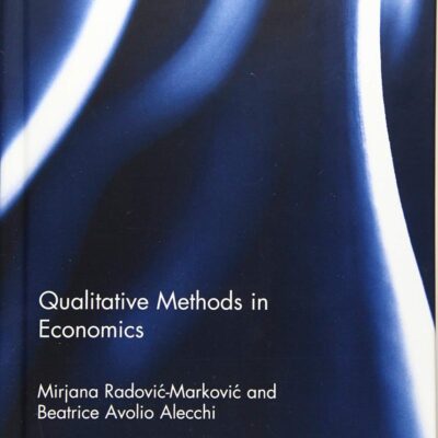 Qualitative Methods in Economics (Routledge Frontiers of Political Economy)