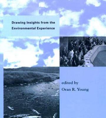 Global Governance: Drawing Insights from the Environmental Experience