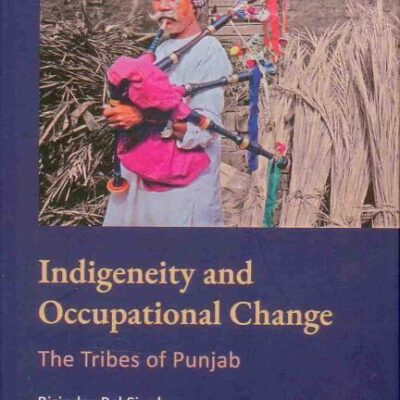 Indigeneity and Occupational Change