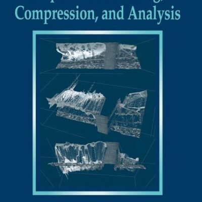 DIGITAL IMAGE SEQUENCE PROCESSING