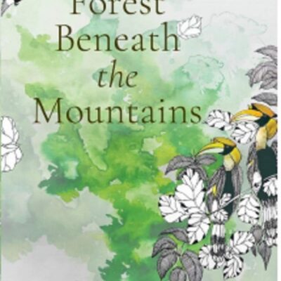 THE FOREST BENEATH THE MOUNTAINS
