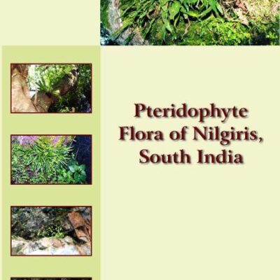Pteridophyte Flora of Nilgiris