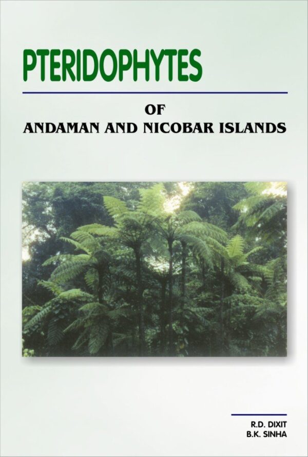 Pteridophytes of Andaman and Nicobar Islands