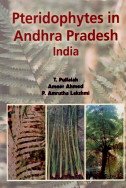 Pteridophytes in Andhra Pradesh India