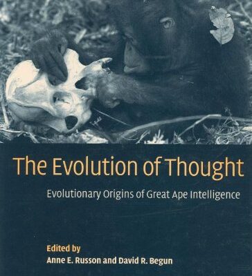 The Evolution of Thought: Evolutionary Origins of Great Ape Intelligence