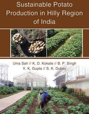 Sustainable Potato Production in Hilly Region of India