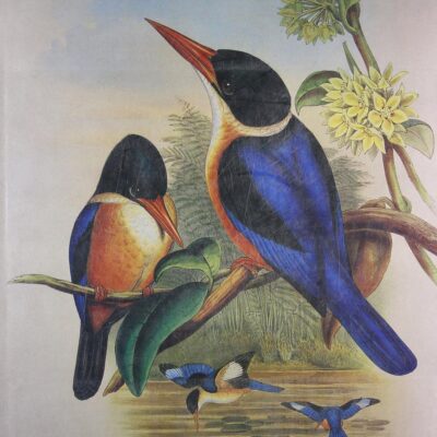 Treasures of Indian Wildlife (Bombay Natural History Society)