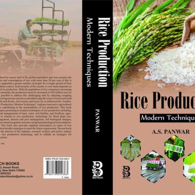 Rice Production: Modern Techniques