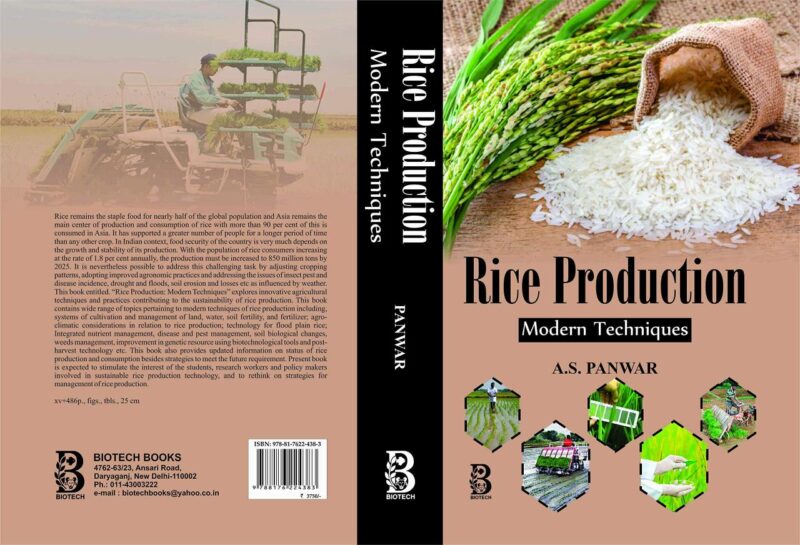 Rice Production: Modern Techniques