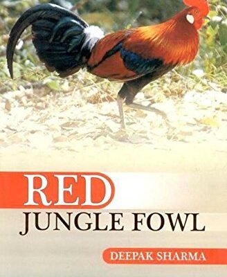 Red Jungle Fowl