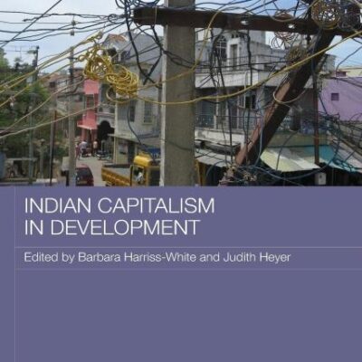 Indian Capitalism in Development (Routledge Contemporary South Asia Series)