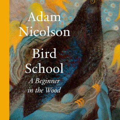 Bird School: A Beginner in the Wood