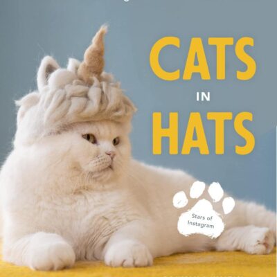 Cats in Hats: Make Cat-hair Headgear for Your Feline Friends