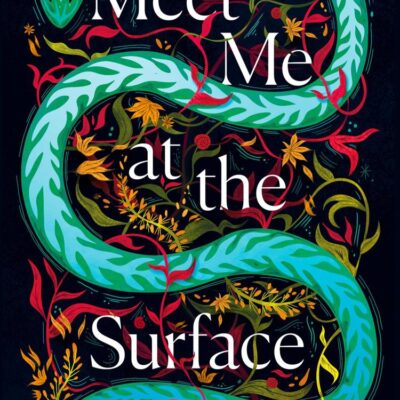 Meet Me at the Surface: A haunting literary debut