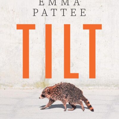 Tilt: A thrilling literary debut about how we confront disaster, hotly anticipated for 2025