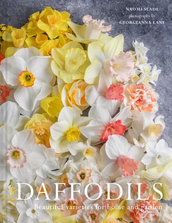 Narcissus: The ultimate guide for growing, flowering and cutting beautiful narcissi varieties for daffodils at home and in the garden