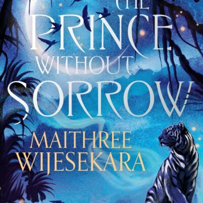 The Prince Without Sorrow: THE fantasy debut sensation of 2025: Book 1 (Obsidian Throne)