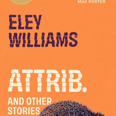 Attrib.: and Other Stories ― The word-of-mouth hit short story collection from Granta Best Young British Novelist