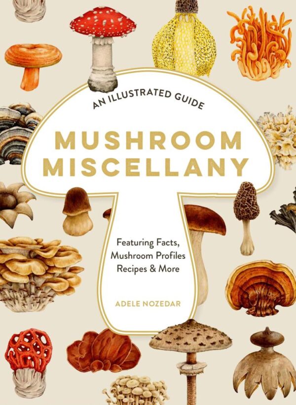 Mushroom Miscellany: An Illustrated Guide