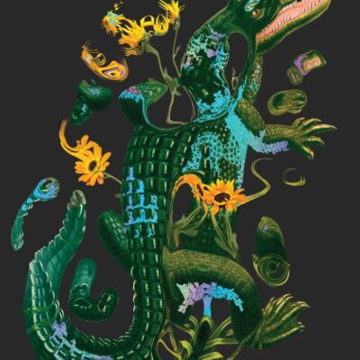 Absolution: The new Southern Reach Novel – a thrilling surprise and final foray into Area X