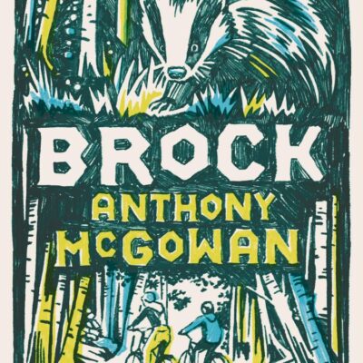 Brock: NEW edition | From the Carnegie Medal-winning author of Lark (Dyslexia-friendly): Book 1 (The Truth of Things)