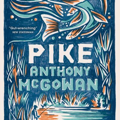 Pike: NEW edition | From the Carnegie Medal-winning author of Lark (Dyslexia-friendly): Book 2 (The Truth of Things)