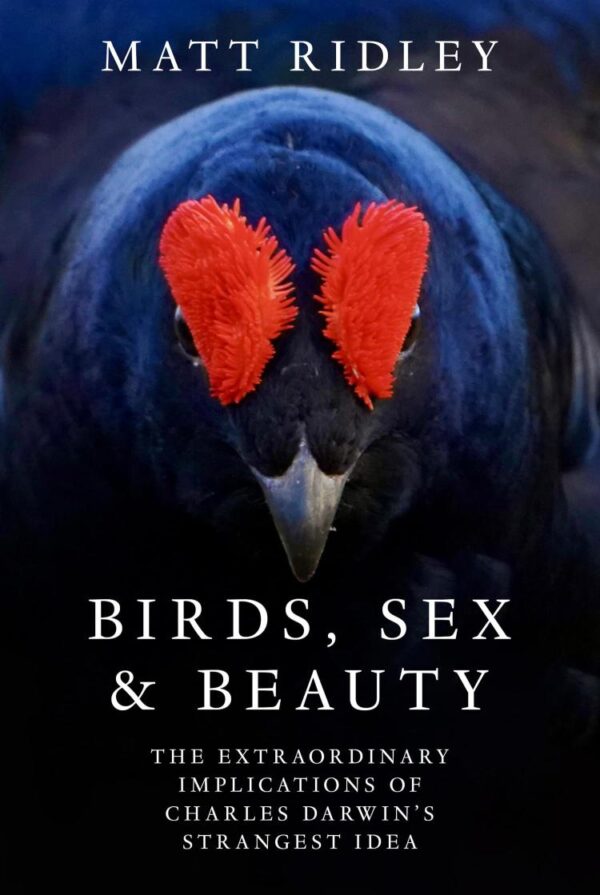 Birds, Sex and Beauty : The extraordinary implications of Charles Darwin’s strangest idea