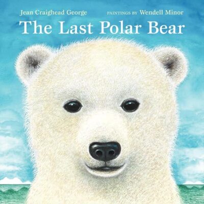 Last Polar Bear, The