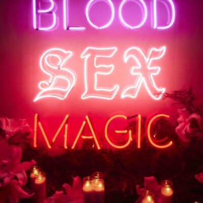 Blood Sex Magic: Everyday Magic for the Modern Mystic From the Creator of The Hoodwitch