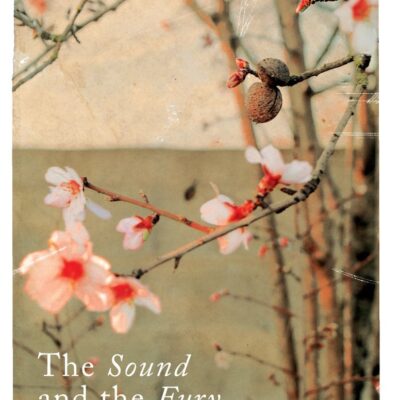 Sound And The Fury, The